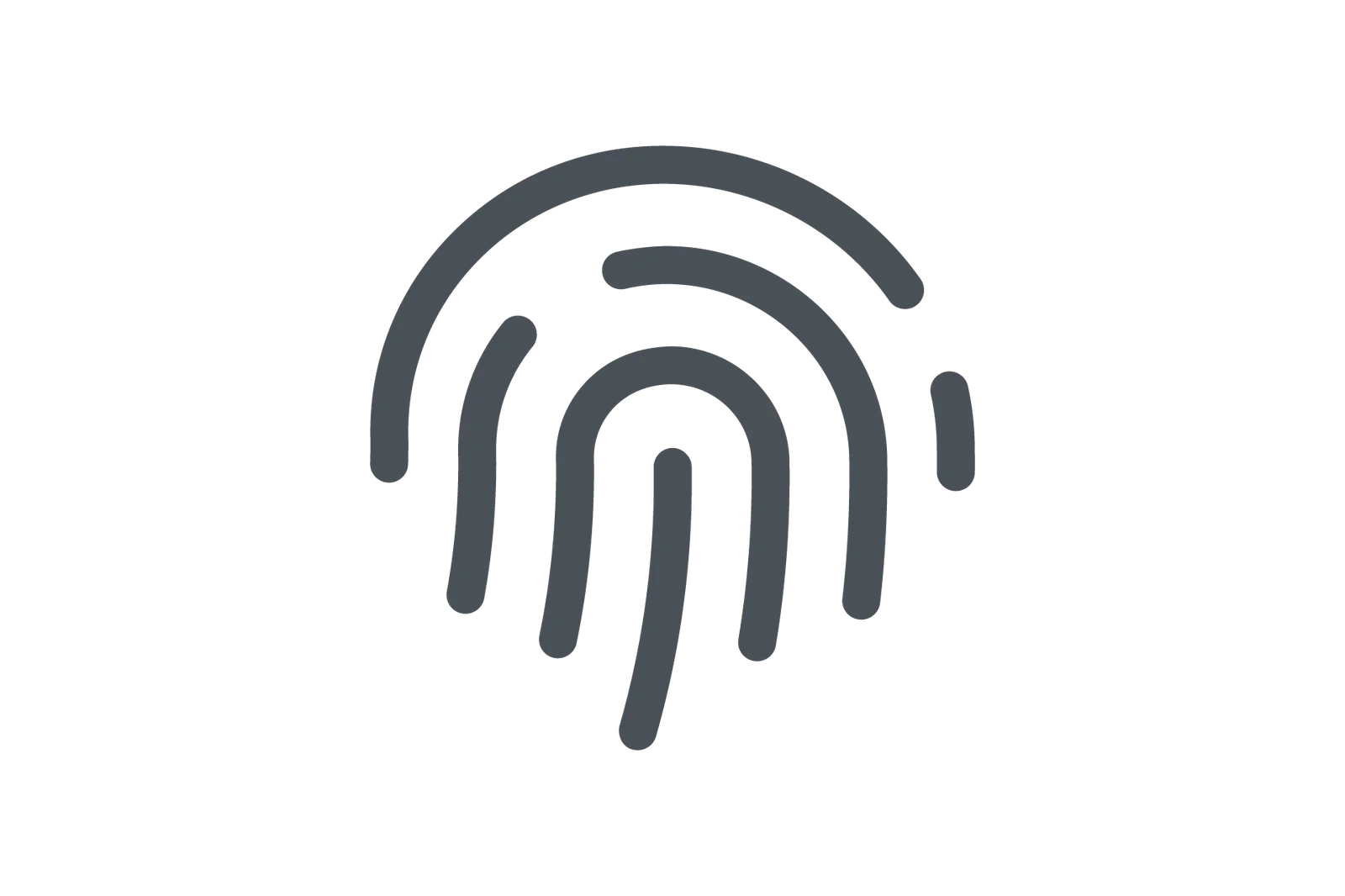 Icon fingerprint